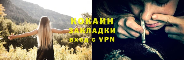 стафф Гусев