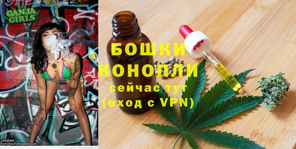 стафф Гусев