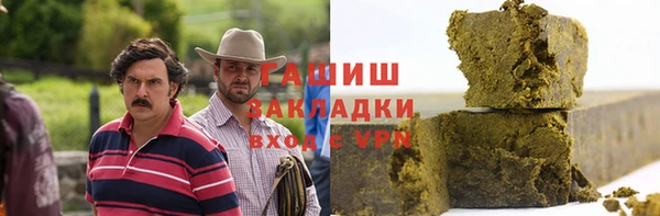 стафф Гусев