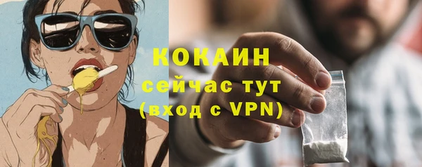 стафф Гусев
