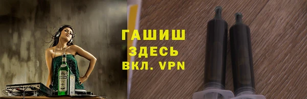 стафф Гусев