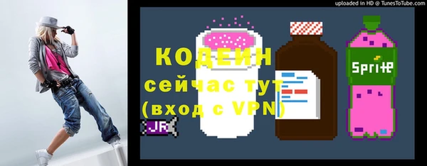 стафф Гусев