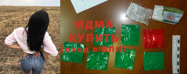 стафф Гусев