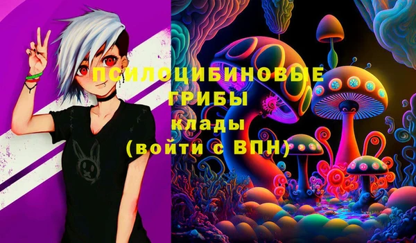 ALPHA-PVP Гусь-Хрустальный