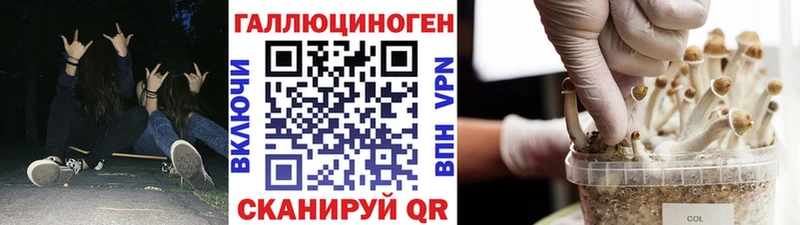 Псилоцибиновые грибы мицелий  как найти закладки  kraken tor  Мичуринск 